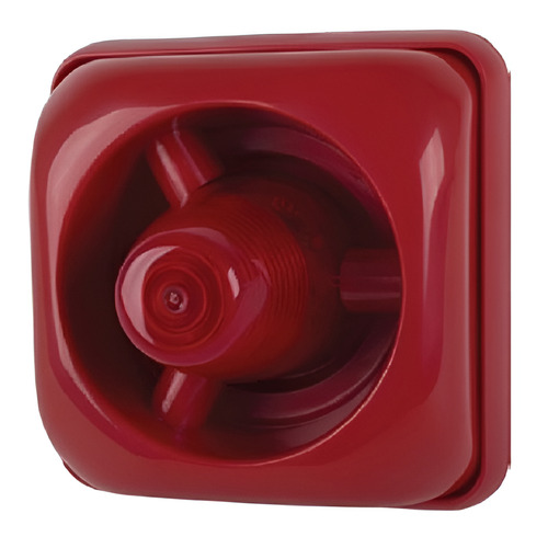 782613-MLA95942569405_102025