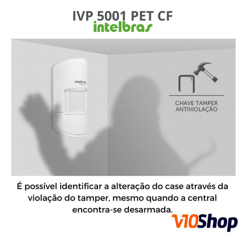 880775-MLA100052328483_122025