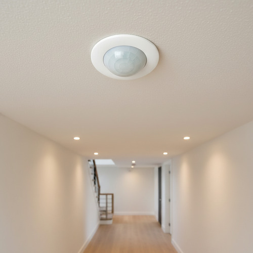 776226-MLA103702505086_012026