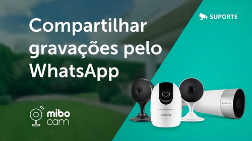 890470-MLU77168252752_072024