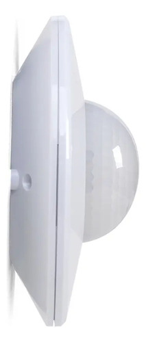 881565-MLU78056587239_072024