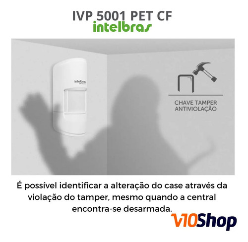 880775-MLA100052328483_122025